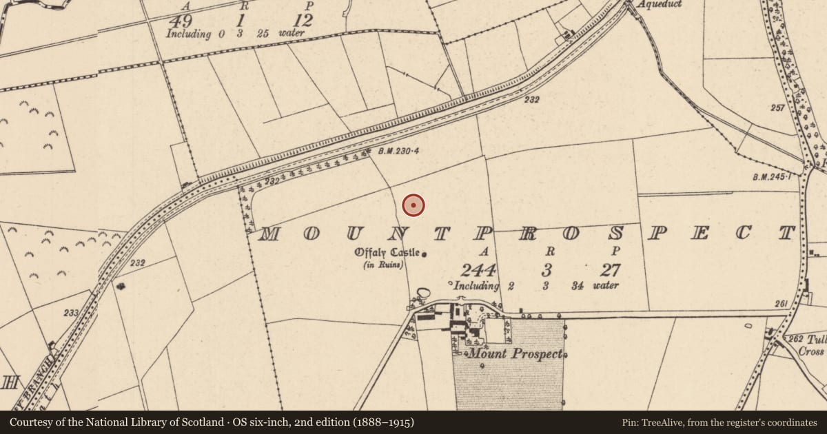 Ordnance Survey six-inch map, 2nd edition (1888–1915) covering the location of Building, Mountprospect, County Kildare, with a pin at the register's coordinates