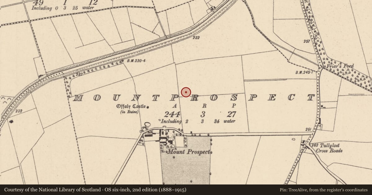 Ordnance Survey six-inch map, 2nd edition (1888–1915) covering the location of Enclosure, Mountprospect, County Kildare, with a pin at the register's coordinates