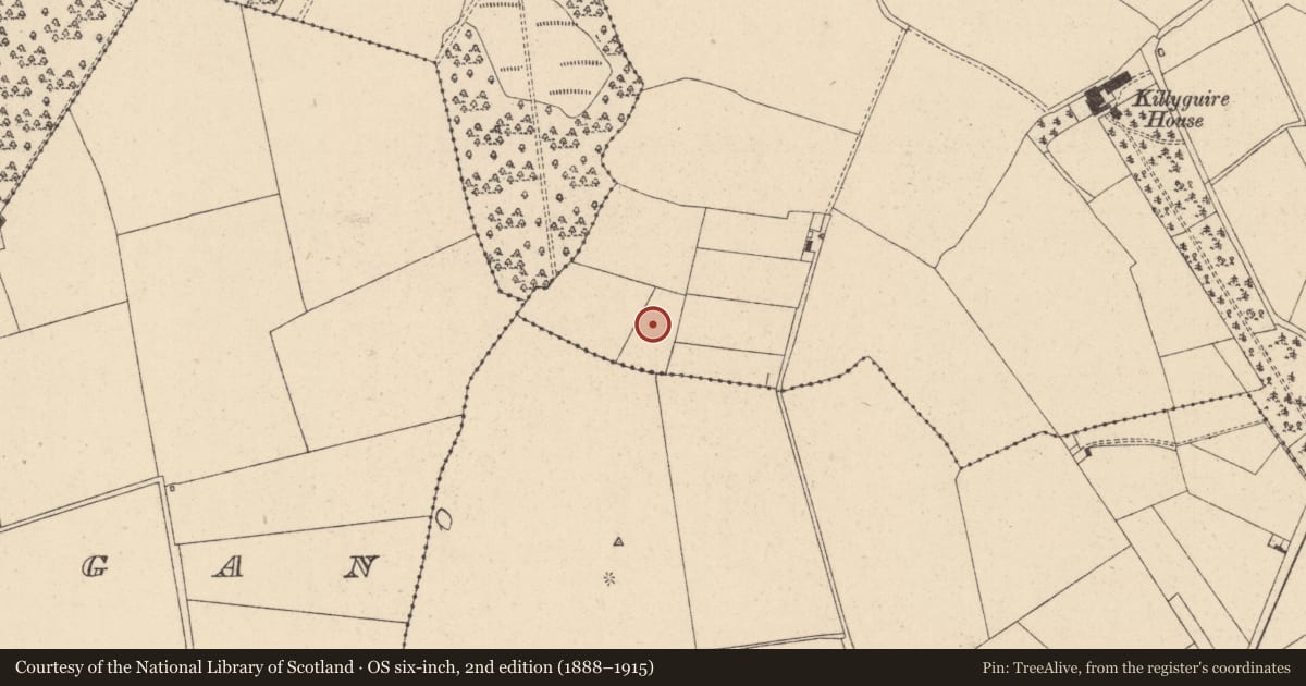 Ordnance Survey six-inch map, 2nd edition (1888–1915) covering the location of Enclosure, Killyguire, County Kildare, with a pin at the register's coordinates