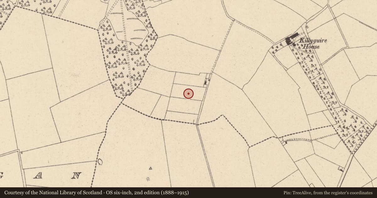Ordnance Survey six-inch map, 2nd edition (1888–1915) covering the location of Enclosure, Killyguire, County Kildare, with a pin at the register's coordinates