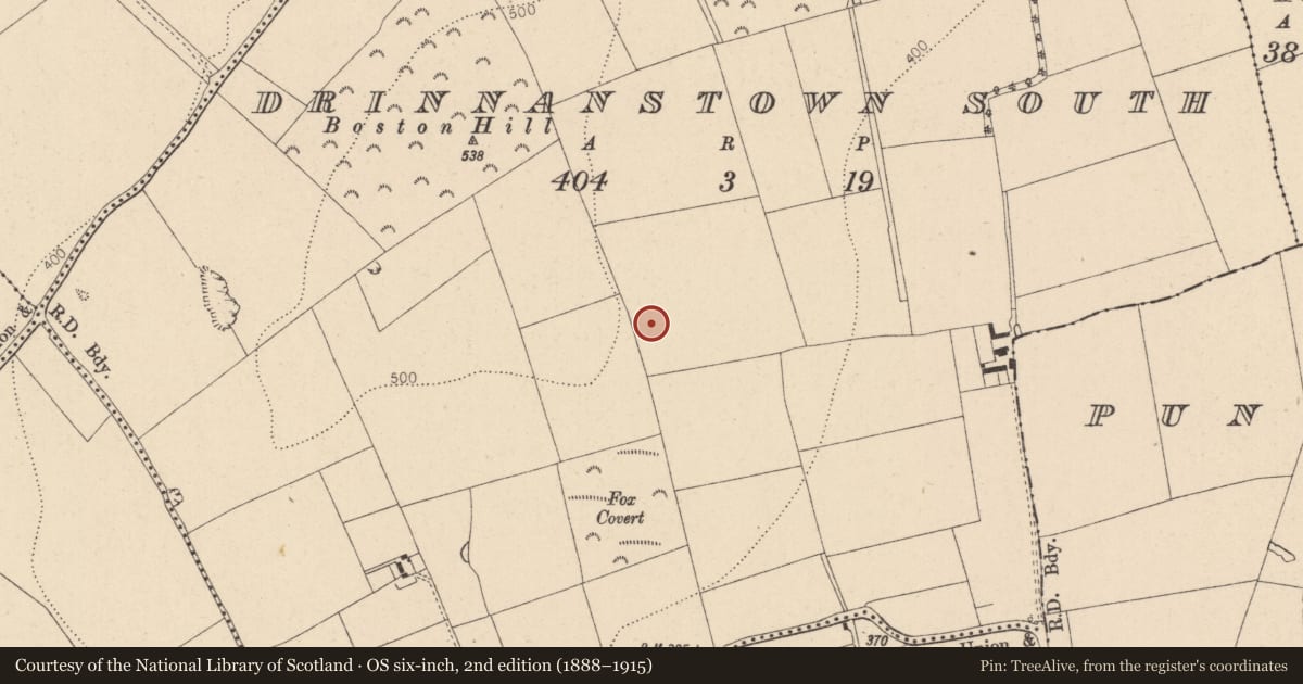 Ordnance Survey six-inch map, 2nd edition (1888–1915) covering the location of Hut site, Drinnanstown South, County Kildare, with a pin at the register's coordinates