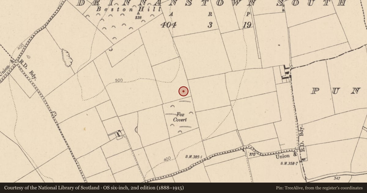 Ordnance Survey six-inch map, 2nd edition (1888–1915) covering the location of Metalworking site, Drinnanstown South, County Kildare, with a pin at the register's coordinates