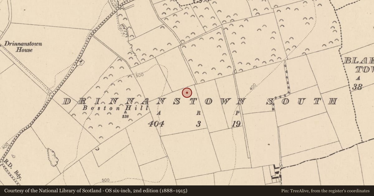 Ordnance Survey six-inch map, 2nd edition (1888–1915) covering the location of Habitation site, Drinnanstown South, County Kildare, with a pin at the register's coordinates