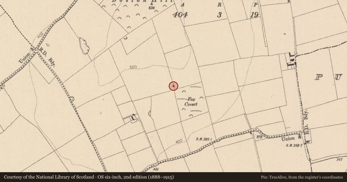 Ordnance Survey six-inch map, 2nd edition (1888–1915) covering the location of Excavation - miscellaneous, Drinnanstown South, County Kildare, with a pin at the register's coordinates