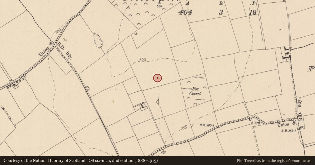 Ordnance Survey six-inch map, 2nd edition (1888–1915) covering the location of Excavation - miscellaneous, Drinnanstown South, County Kildare, with a pin at the register's coordinates