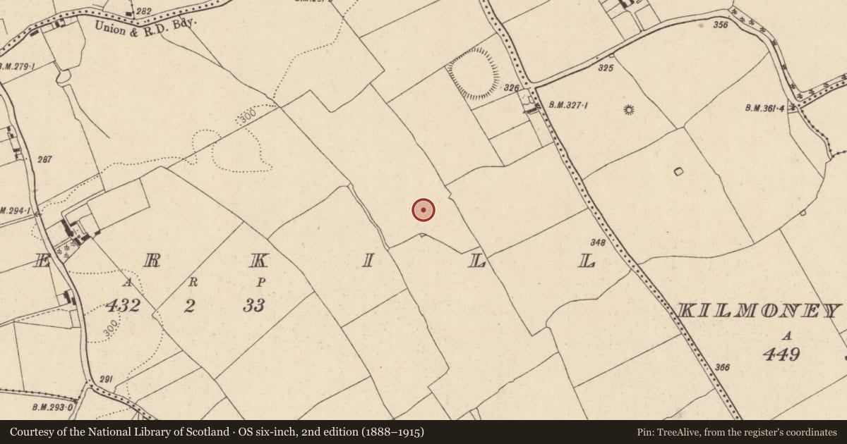 Ordnance Survey six-inch map, 2nd edition (1888–1915) covering the location of Enclosure, Boherkill, County Kildare, with a pin at the register's coordinates