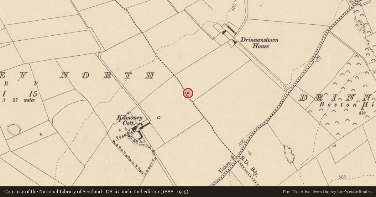 Ordnance Survey six-inch map, 2nd edition (1888–1915) covering the location of Enclosure, Drinnanstown North, County Kildare, with a pin at the register's coordinates