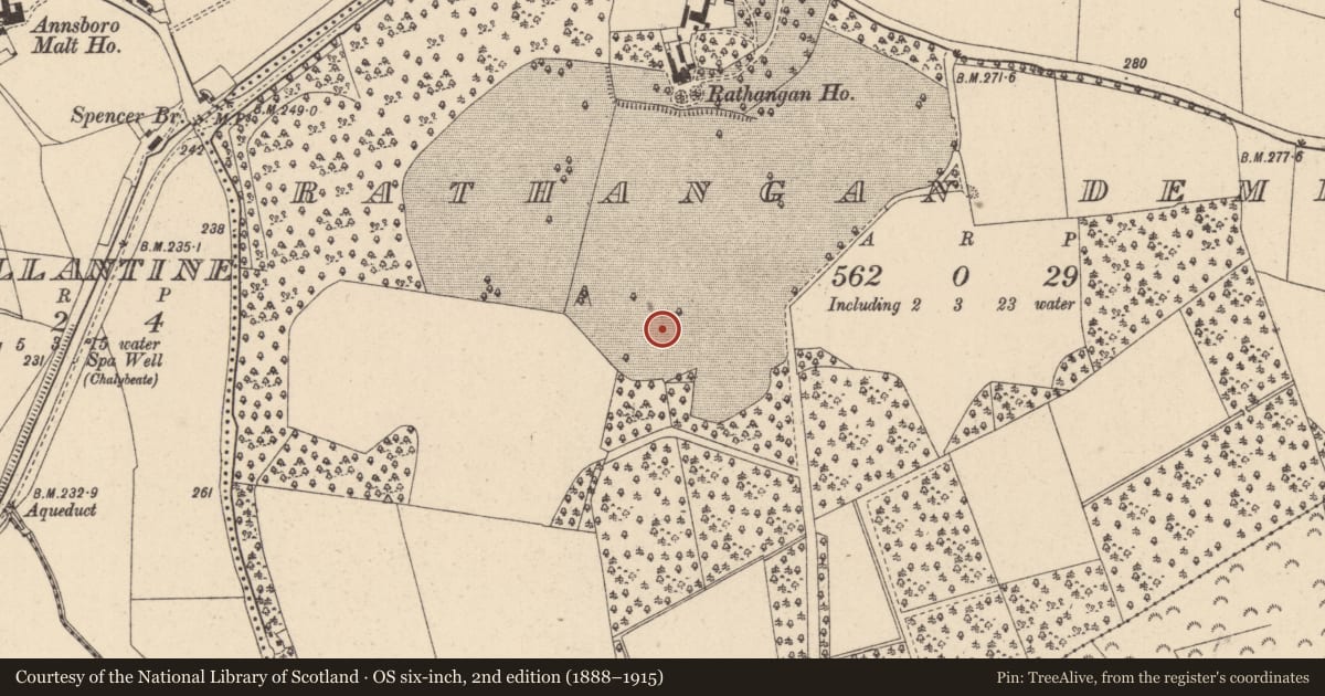 Ordnance Survey six-inch map, 2nd edition (1888–1915) covering the location of Ringfort - rath, Rathangan Demesne, County Kildare, with a pin at the register's coordinates