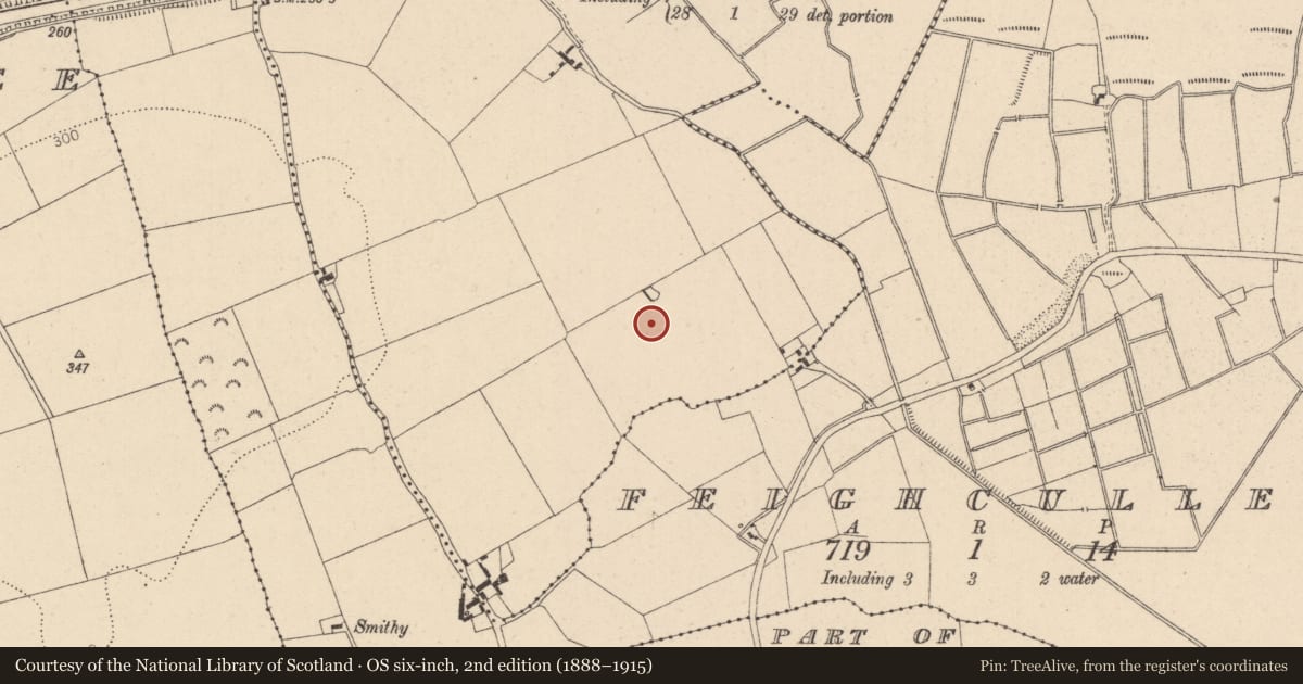 Ordnance Survey six-inch map, 2nd edition (1888–1915) covering the location of Enclosure, Drumsru, County Kildare, with a pin at the register's coordinates