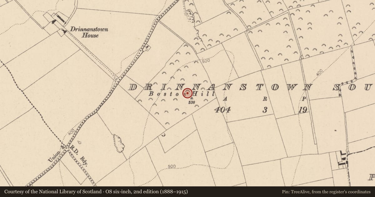 Ordnance Survey six-inch map, 2nd edition (1888–1915) covering the location of Enclosure, Drinnanstown South, County Kildare, with a pin at the register's coordinates
