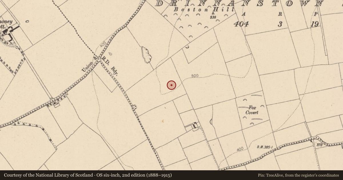 Ordnance Survey six-inch map, 2nd edition (1888–1915) covering the location of Ring-ditch, Drinnanstown South, County Kildare, with a pin at the register's coordinates