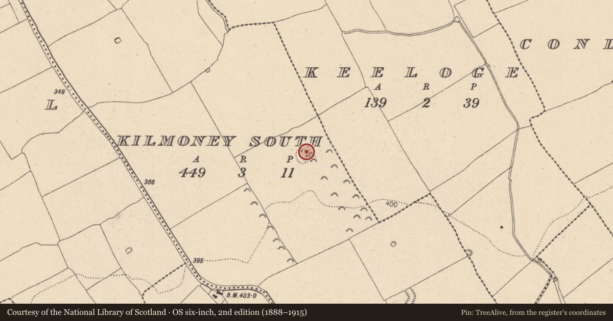 Ordnance Survey six-inch map, 2nd edition (1888–1915) covering the location of Ring-ditch, Kilmoney South, County Kildare, with a pin at the register's coordinates
