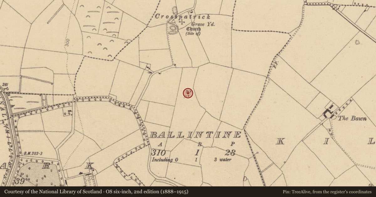 Ordnance Survey six-inch map, 2nd edition (1888–1915) covering the location of Mound, Ballintine, County Kildare, with a pin at the register's coordinates