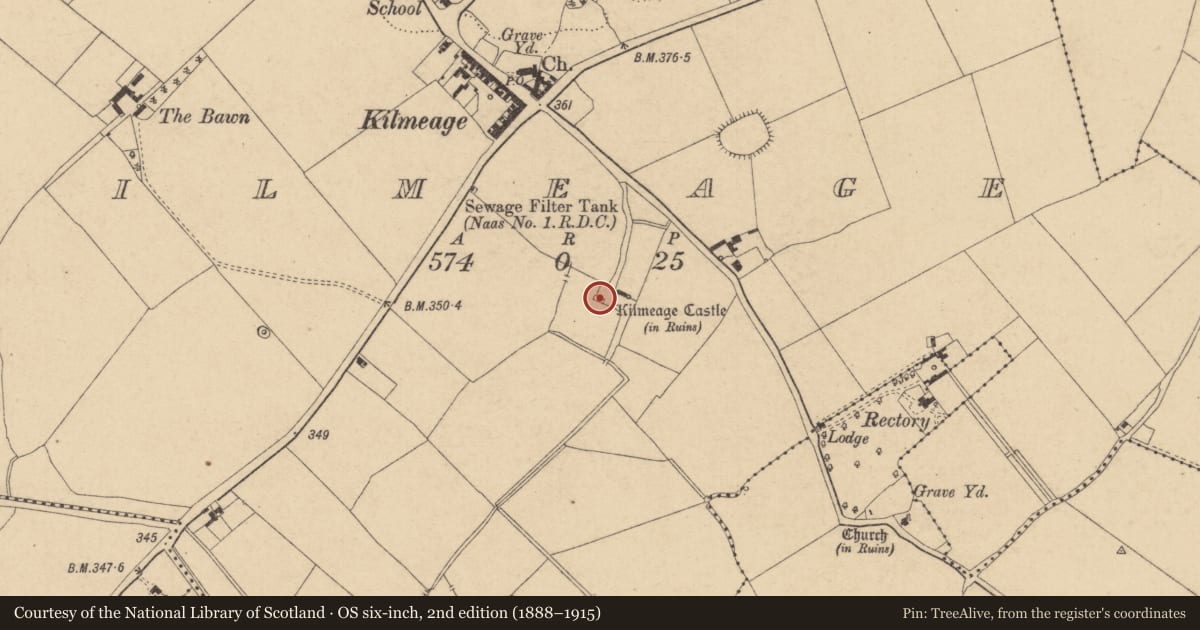 Ordnance Survey six-inch map, 2nd edition (1888–1915) covering the location of Castle - tower house, Kilmeage, County Kildare, with a pin at the register's coordinates