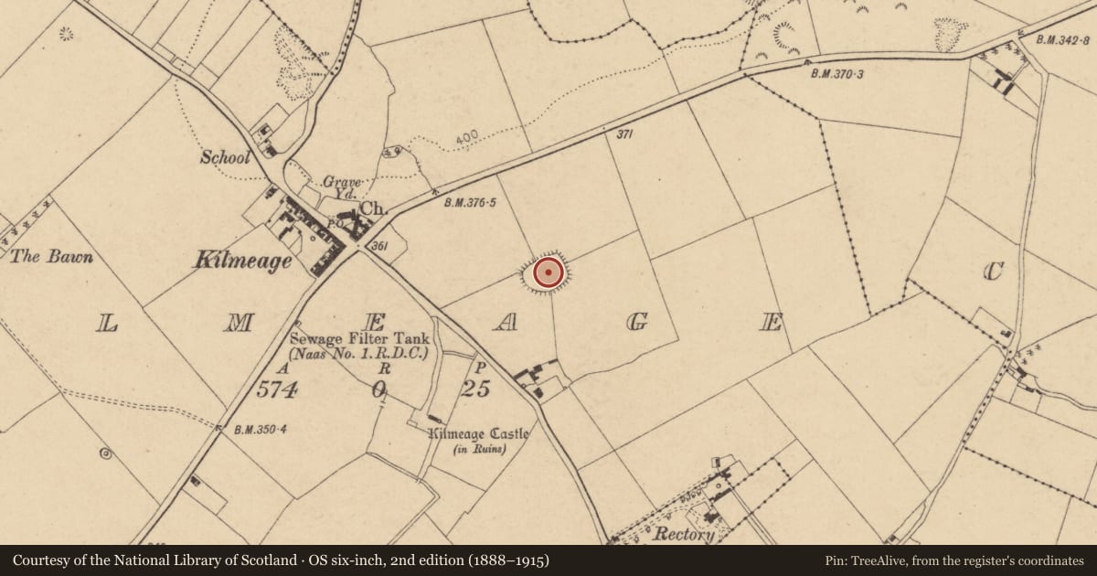 Ordnance Survey six-inch map, 2nd edition (1888–1915) covering the location of Ringfort - rath, Kilmeage, County Kildare, with a pin at the register's coordinates