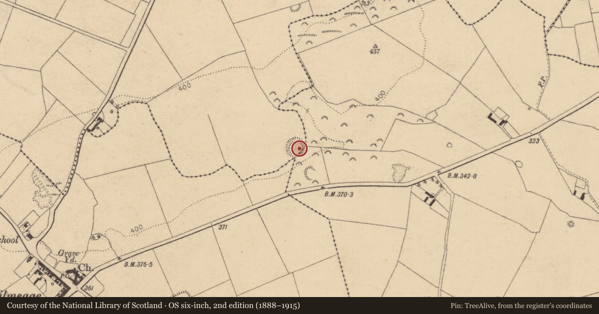 Ordnance Survey six-inch map, 2nd edition (1888–1915) covering the location of Ringfort - rath, Grangeclare East, County Kildare, with a pin at the register's coordinates