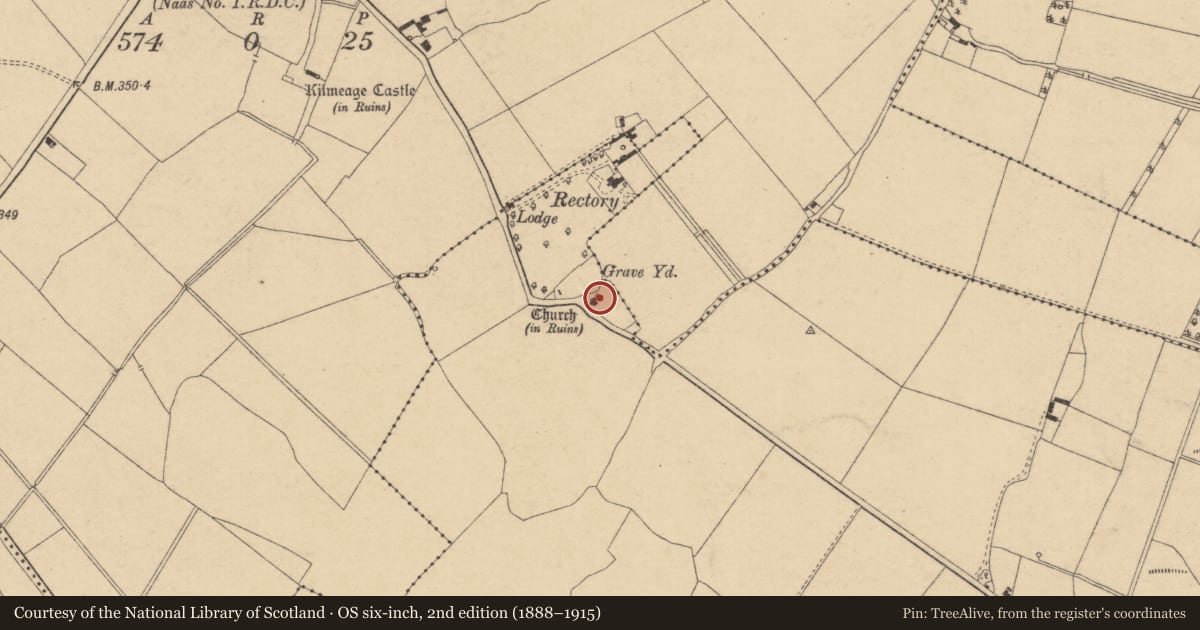 Ordnance Survey six-inch map, 2nd edition (1888–1915) covering the location of Church, Rathernan, County Kildare, with a pin at the register's coordinates