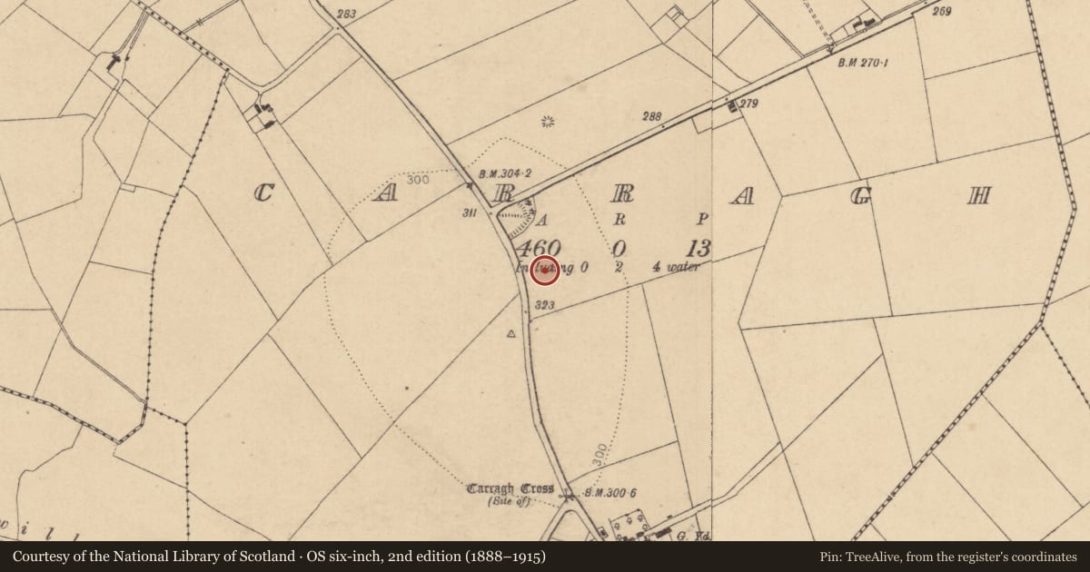 Ordnance Survey six-inch map, 2nd edition (1888–1915) covering the location of Enclosure, Carragh, County Kildare, with a pin at the register's coordinates