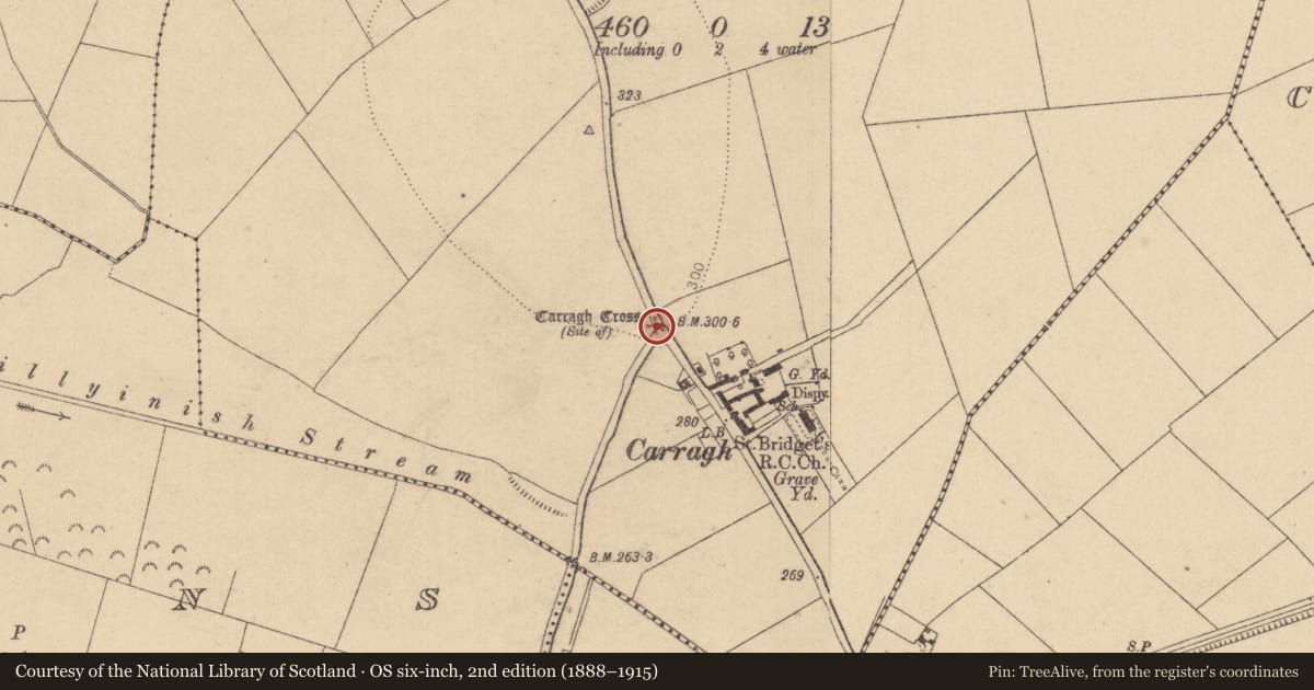 Ordnance Survey six-inch map, 2nd edition (1888–1915) covering the location of Cross - Wayside cross, Carragh, County Kildare, with a pin at the register's coordinates