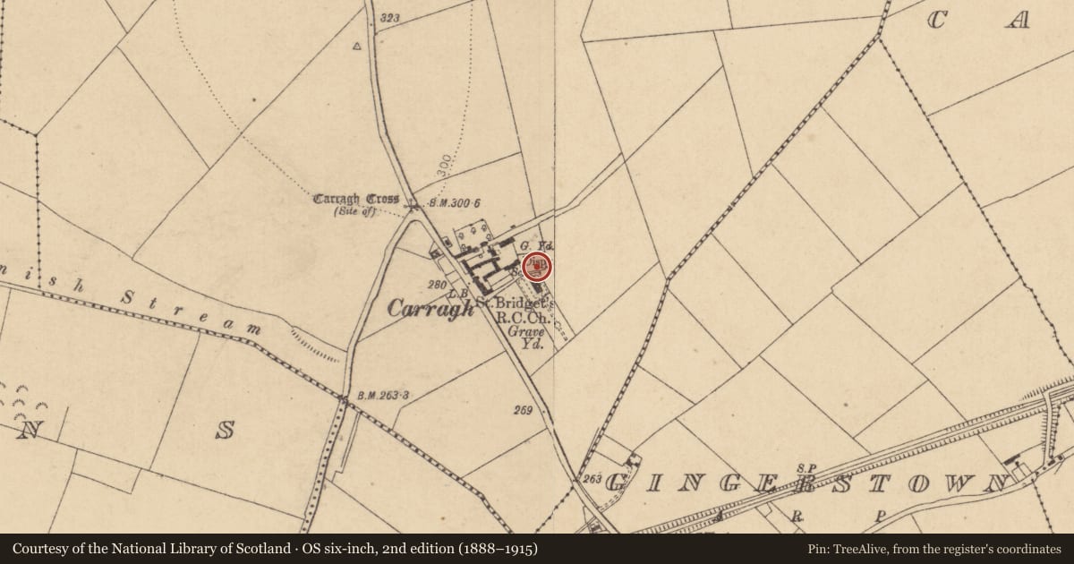 Ordnance Survey six-inch map, 2nd edition (1888–1915) covering the location of Graveyard, Carragh, County Kildare, with a pin at the register's coordinates