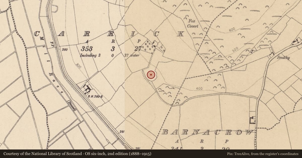 Ordnance Survey six-inch map, 2nd edition (1888–1915) covering the location of Ecclesiastical enclosure, Carrick, County Kildare, with a pin at the register's coordinates