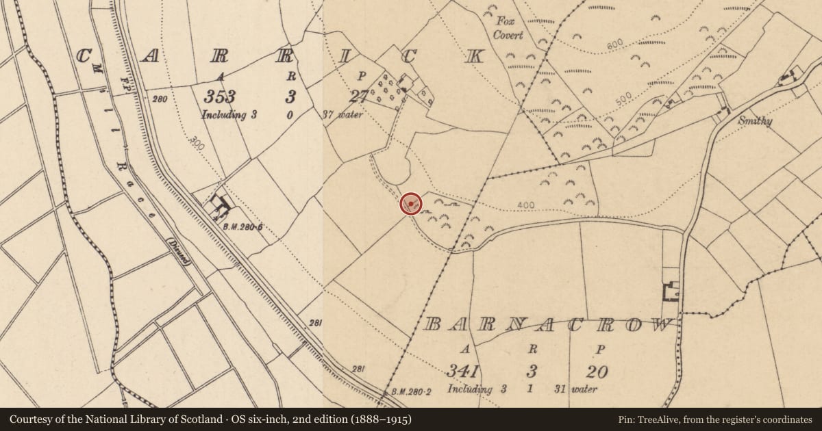 Ordnance Survey six-inch map, 2nd edition (1888–1915) covering the location of Ritual site - holy well, Carrick, County Kildare, with a pin at the register's coordinates