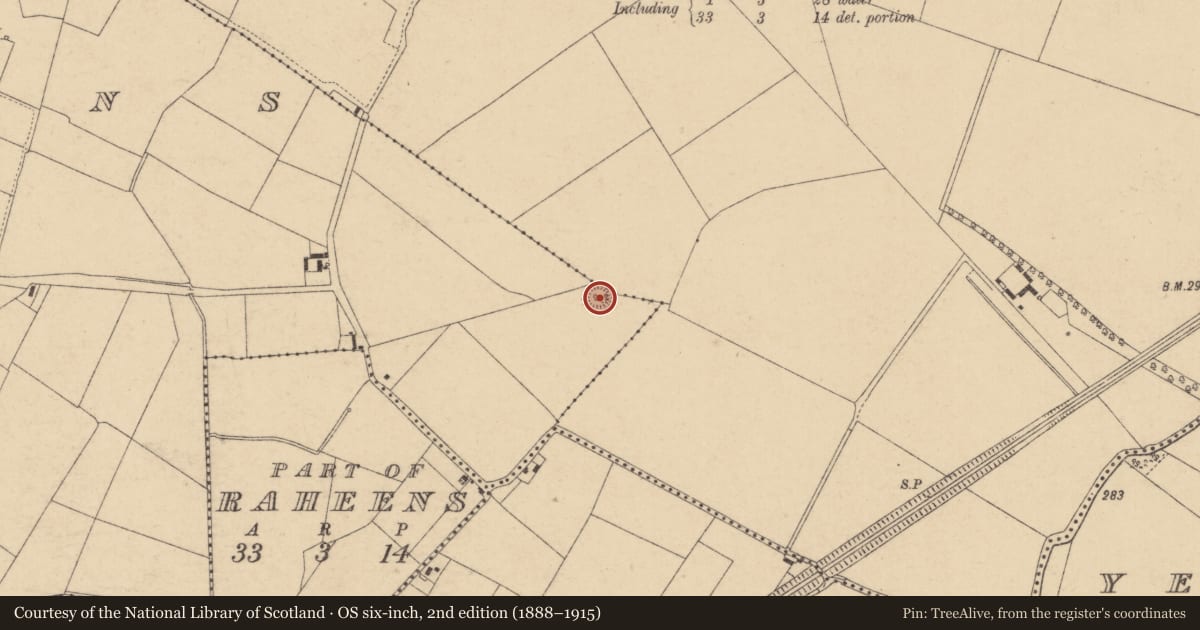 Ordnance Survey six-inch map, 2nd edition (1888–1915) covering the location of Ringfort - rath, Derreens, County Kildare, with a pin at the register's coordinates
