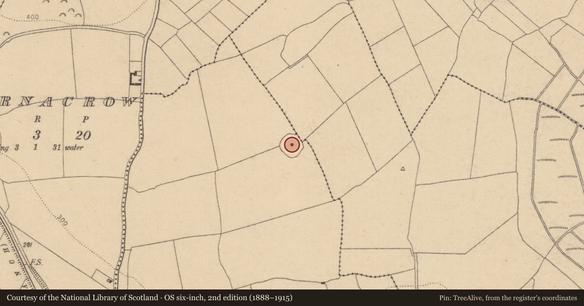 Ordnance Survey six-inch map, 2nd edition (1888–1915) covering the location of Ecclesiastical enclosure, Baronstown West, County Kildare, with a pin at the register's coordinates