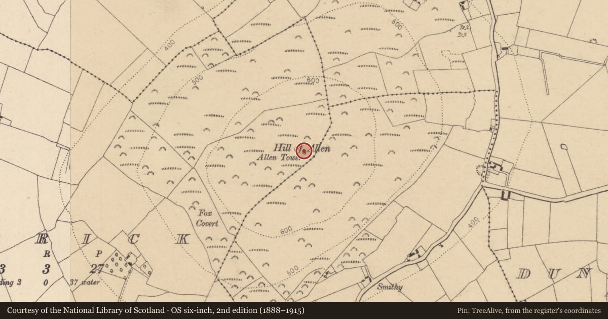 Ordnance Survey six-inch map, 2nd edition (1888–1915) covering the location of Designed landscape - folly, Carrick, County Kildare, with a pin at the register's coordinates