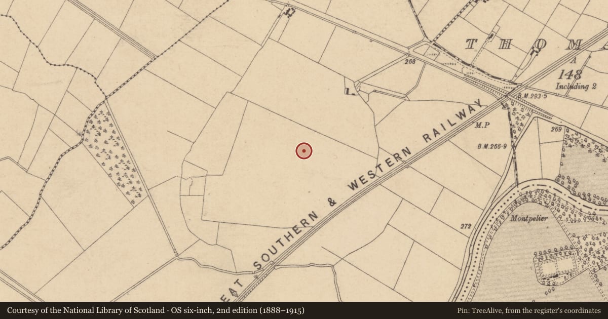 Ordnance Survey six-inch map, 2nd edition (1888–1915) covering the location of Enclosure, Barrettstown, County Kildare, with a pin at the register's coordinates
