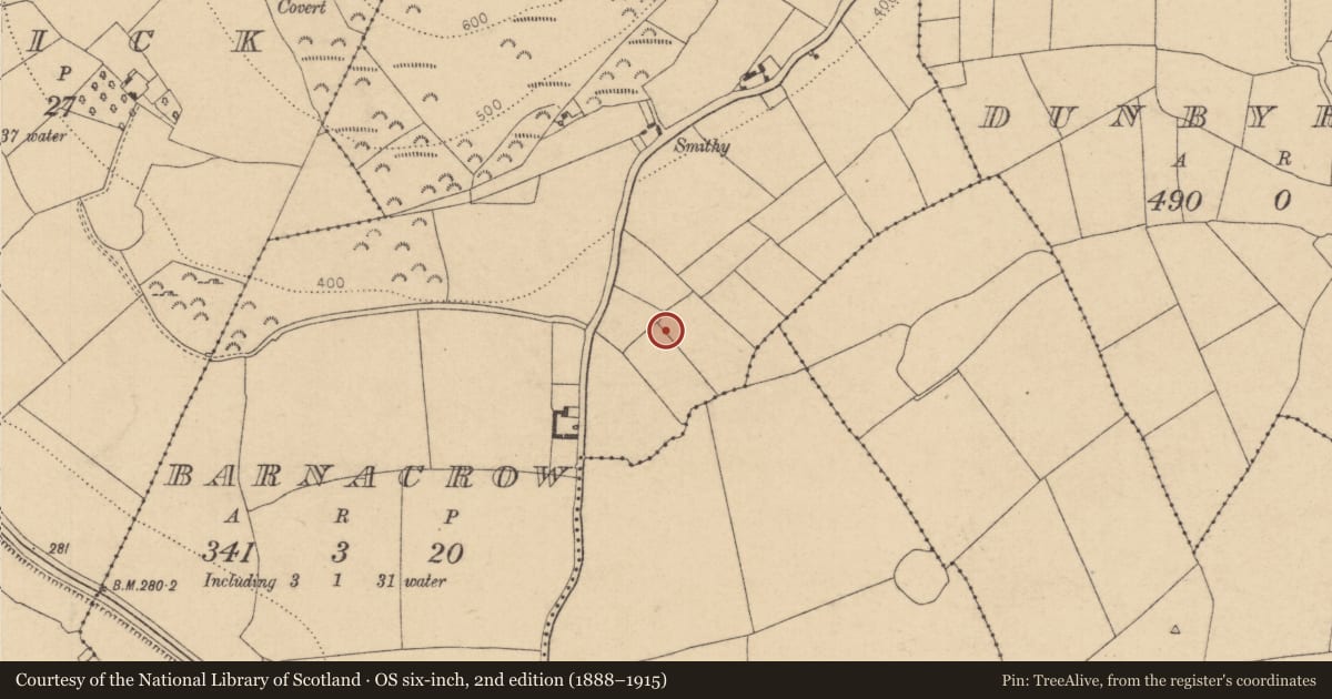Ordnance Survey six-inch map, 2nd edition (1888–1915) covering the location of Enclosure, Barnacrow, County Kildare, with a pin at the register's coordinates
