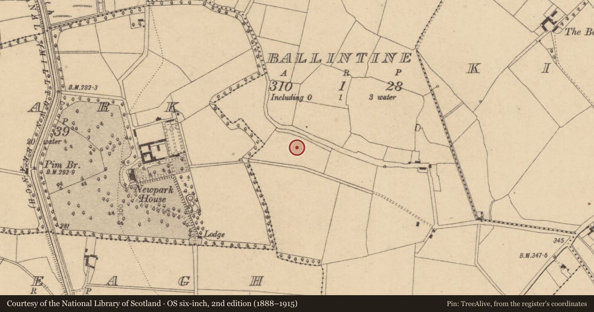 Ordnance Survey six-inch map, 2nd edition (1888–1915) covering the location of Settlement deserted - medieval, Ballintine, County Kildare, with a pin at the register's coordinates