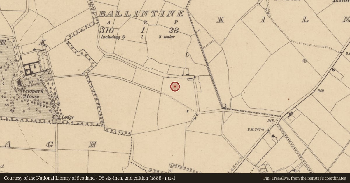 Ordnance Survey six-inch map, 2nd edition (1888–1915) covering the location of Enclosure, Ballintine, County Kildare, with a pin at the register's coordinates