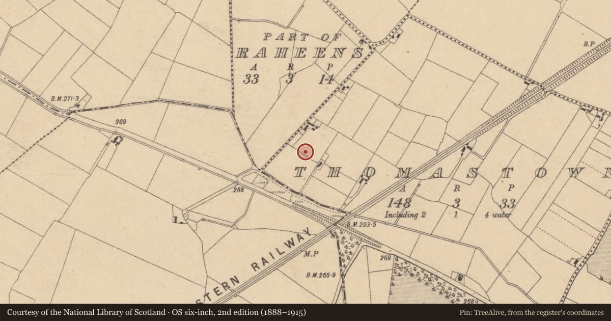 Ordnance Survey six-inch map, 2nd edition (1888–1915) covering the location of Enclosure, Thomastown, County Kildare, with a pin at the register's coordinates