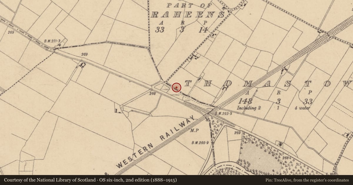 Ordnance Survey six-inch map, 2nd edition (1888–1915) covering the location of Enclosure, Thomastown, County Kildare, with a pin at the register's coordinates