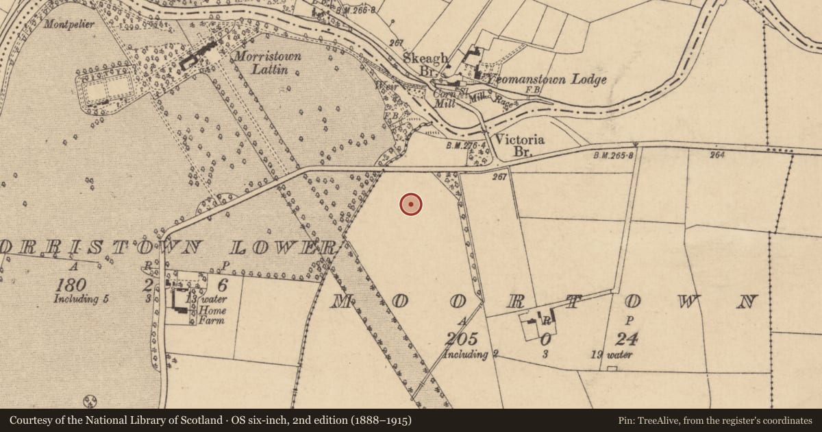 Ordnance Survey six-inch map, 2nd edition (1888–1915) covering the location of Enclosure, Moortown, County Kildare, with a pin at the register's coordinates