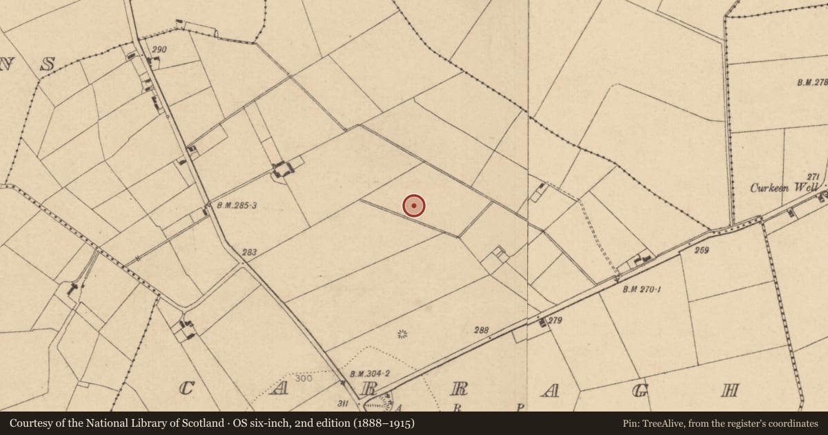 Ordnance Survey six-inch map, 2nd edition (1888–1915) covering the location of Enclosure, Carragh, County Kildare, with a pin at the register's coordinates