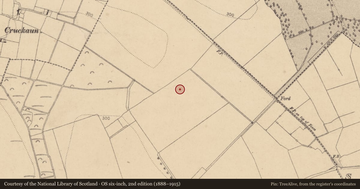 Ordnance Survey six-inch map, 2nd edition (1888–1915) covering the location of Enclosure, Oldtowndonore, County Kildare, with a pin at the register's coordinates