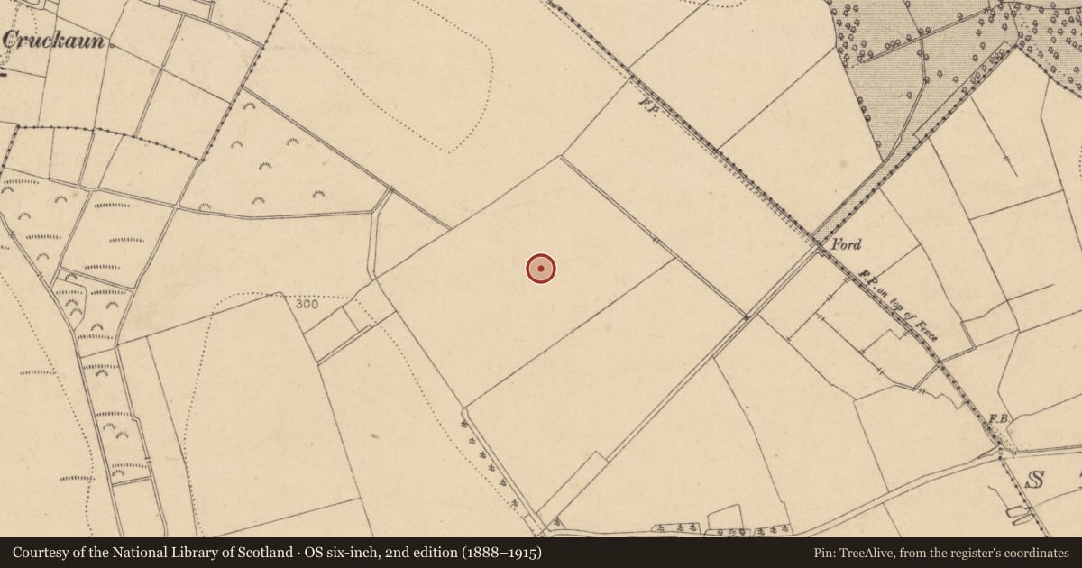Ordnance Survey six-inch map, 2nd edition (1888–1915) covering the location of Enclosure, Oldtowndonore, County Kildare, with a pin at the register's coordinates