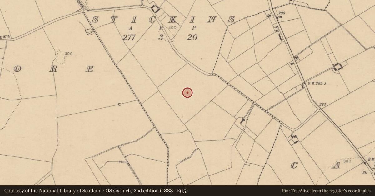 Ordnance Survey six-inch map, 2nd edition (1888–1915) covering the location of Enclosure, Stickins, County Kildare, with a pin at the register's coordinates