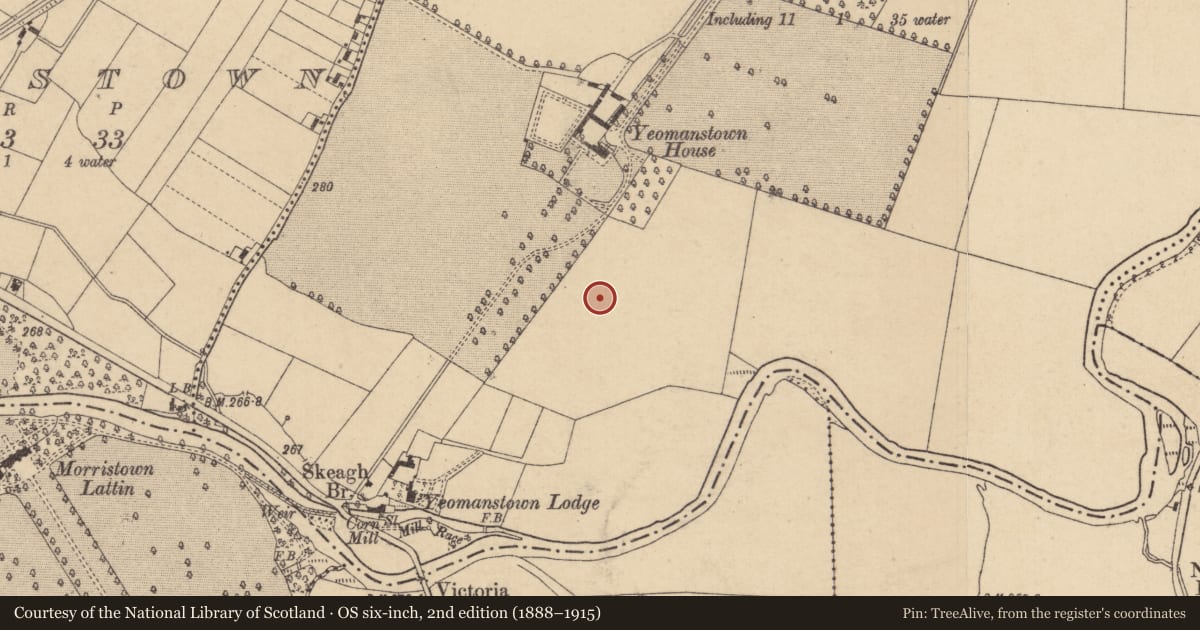 Ordnance Survey six-inch map, 2nd edition (1888–1915) covering the location of Enclosure, Yeomanstown, County Kildare, with a pin at the register's coordinates