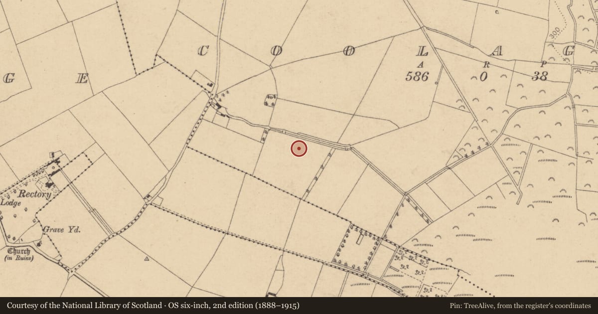Ordnance Survey six-inch map, 2nd edition (1888–1915) covering the location of Enclosure - large enclosure, Coolaght, County Kildare, with a pin at the register's coordinates