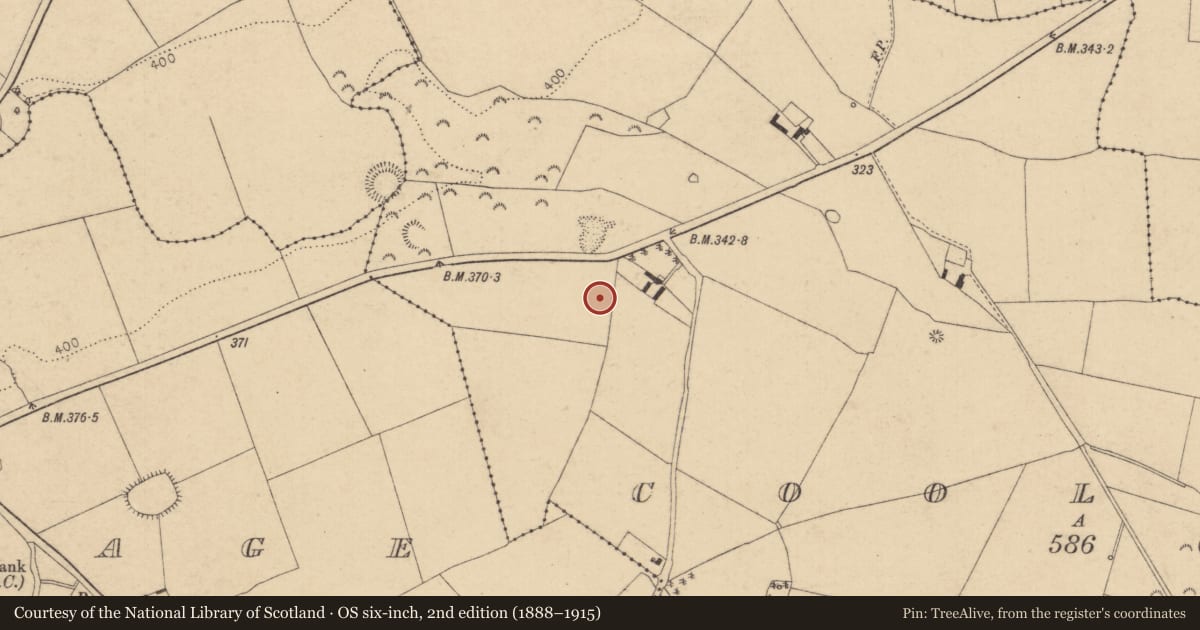 Ordnance Survey six-inch map, 2nd edition (1888–1915) covering the location of Enclosure, Coolaght, County Kildare, with a pin at the register's coordinates