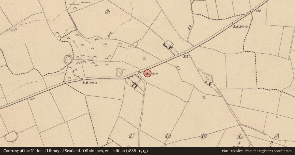 Ordnance Survey six-inch map, 2nd edition (1888–1915) covering the location of Enclosure, Coolaght, County Kildare, with a pin at the register's coordinates