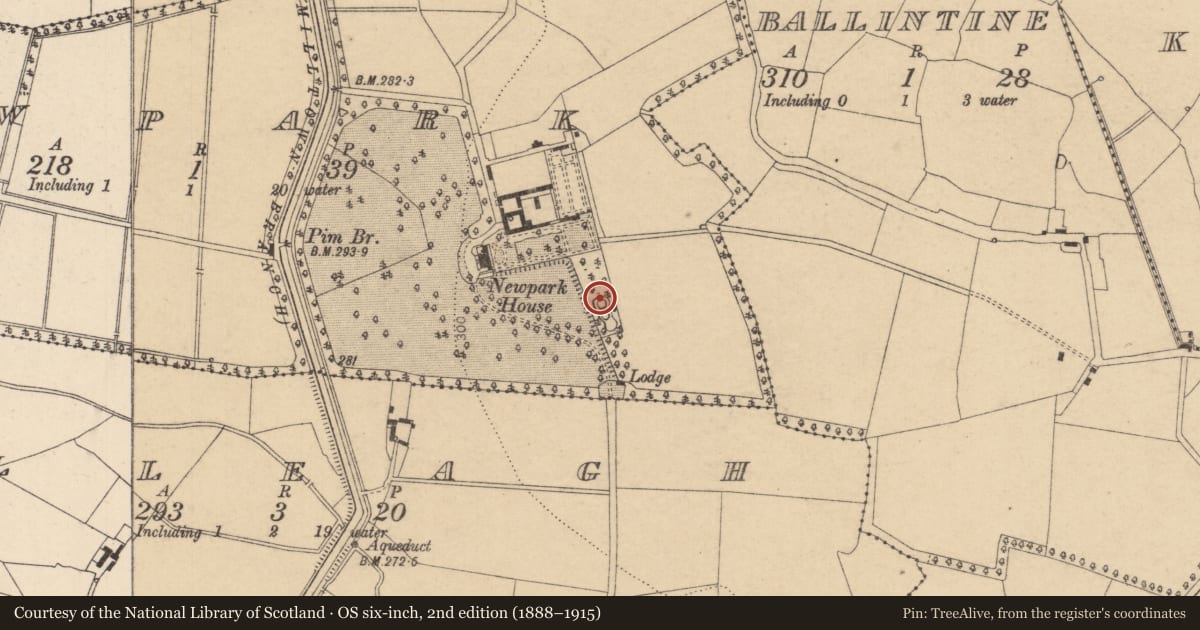 Ordnance Survey six-inch map, 2nd edition (1888–1915) covering the location of Designed landscape - ornamental lake, Newpark, County Kildare, with a pin at the register's coordinates