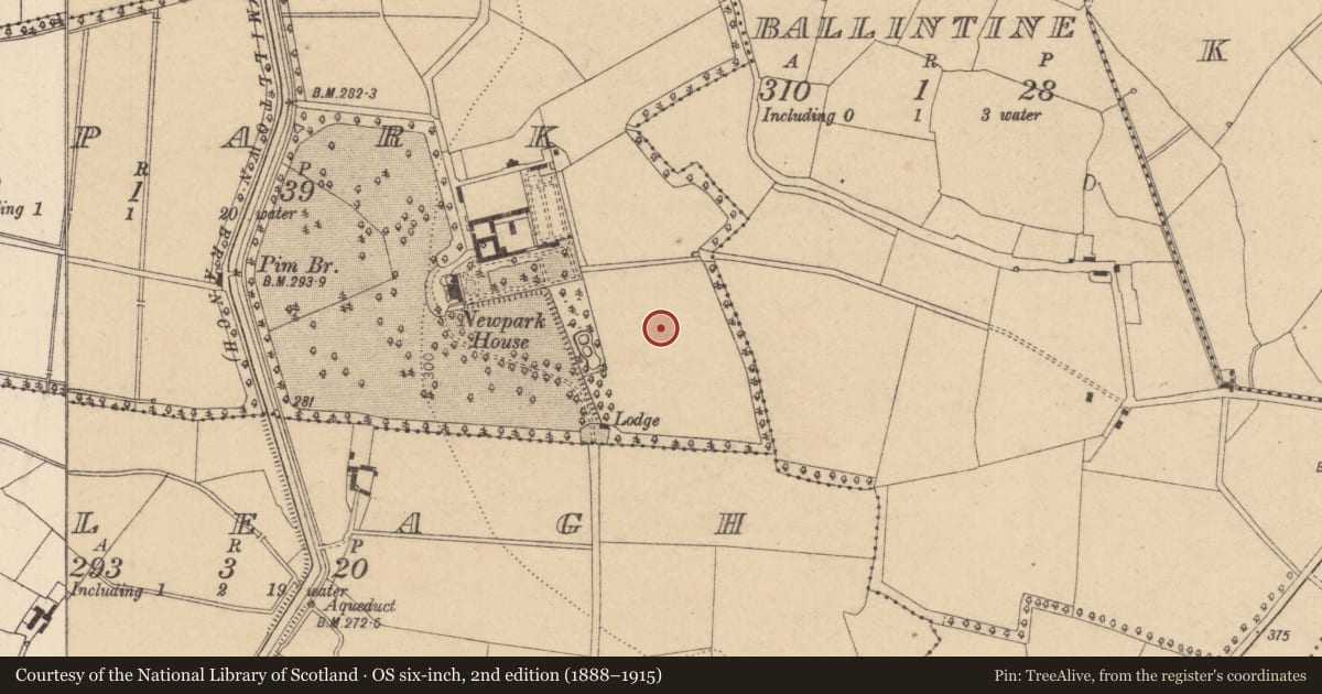 Ordnance Survey six-inch map, 2nd edition (1888–1915) covering the location of Enclosure, Newpark, County Kildare, with a pin at the register's coordinates