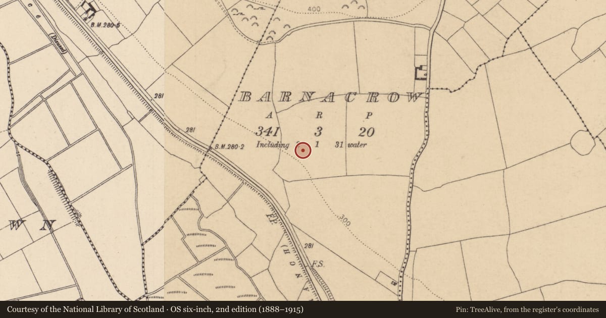 Ordnance Survey six-inch map, 2nd edition (1888–1915) covering the location of Ringfort - unclassified, Barnacrow, County Kildare, with a pin at the register's coordinates