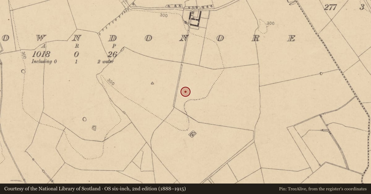 Ordnance Survey six-inch map, 2nd edition (1888–1915) covering the location of Enclosure, Oldtowndonore, County Kildare, with a pin at the register's coordinates