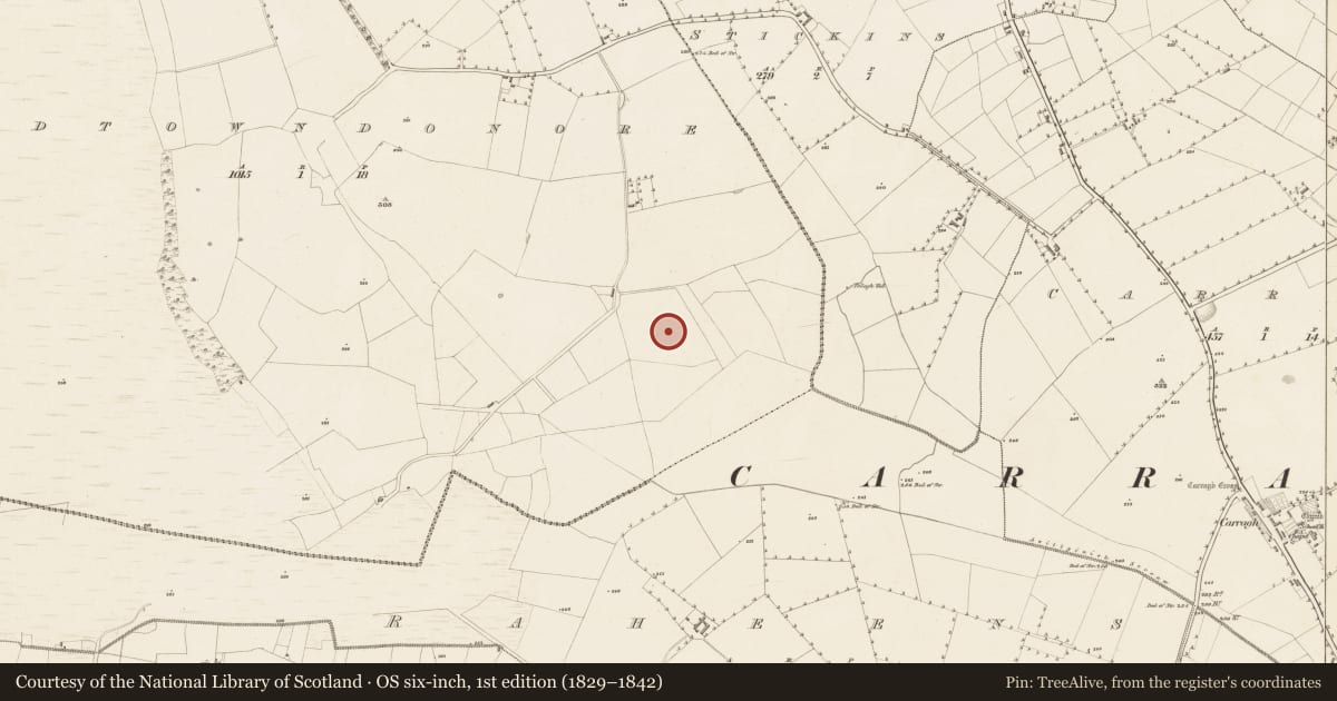 Ordnance Survey six-inch map, 1st edition (1829–1842) covering the location of Enclosure, Oldtowndonore, County Kildare, with a pin at the register's coordinates