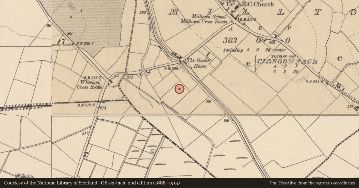Ordnance Survey six-inch map, 2nd edition (1888–1915) covering the location of Enclosure, Milltown, County Kildare, with a pin at the register's coordinates